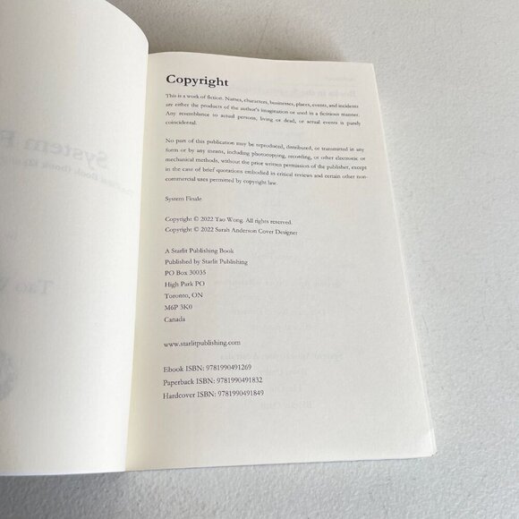 System Finale Book 12 by Tao Wong - Picture 8 of 11